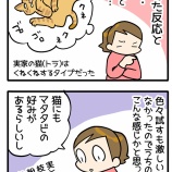 理想の「猫に木天蓼」が怖かった話
