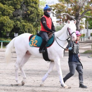 ☆うまなみ・競馬にゅーす速報