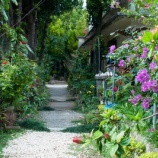 『散歩の途中、いつもすれ違う夫婦』の画像