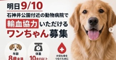 HELP！！　輸血が必要な子がいます。献血にご協力いただけるワンコを探しています