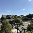 【成田山公園】朝のお散歩