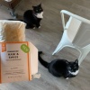 ３食スタバごはん＆猫と片付け[ハワイ暮らし日記]