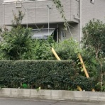 気の向くままに、言いたい放題