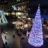 『クリスマスイルミネーション』の画像