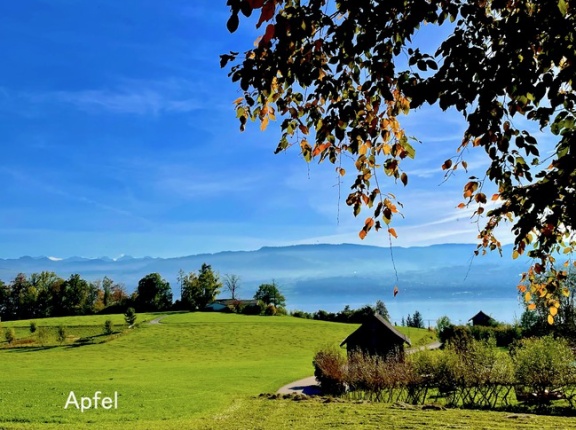 アルプスが見える散歩道（秋）