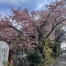 懲戒欄に・・・と背景を変えました