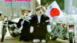 Twitterの要注意アイコン…「日の丸」「アニメ」「初期（卵）」「アイドル」など