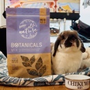 特別限定セールのお知らせ