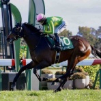 BOSS猿のアナログ肉眼競馬