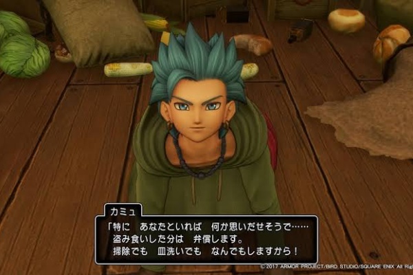 ドラクエ11攻略 ぬすむを100%成功させる方法 ...
