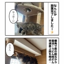 大型ご支援品も 続々・・