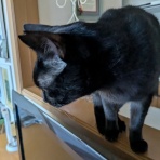 urushizutoぐみ と