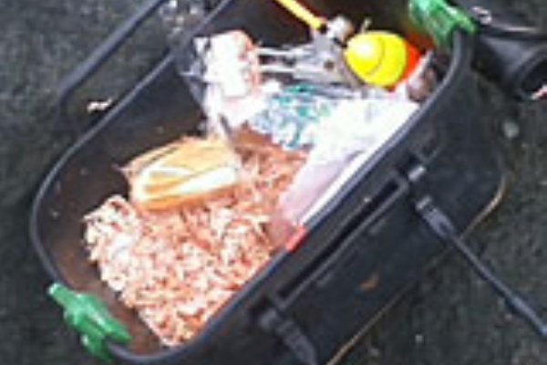 高島イワグチ 検証 配合餌の効果 Blog高島回顧録