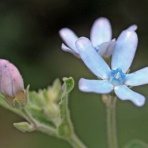 ヒロシマの視線