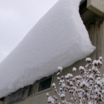 海彦・山彦の白秋日記