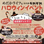 めだかライフ
