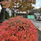 江戸時代のわたしの仕事♪