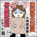 潰瘍性大腸炎の再燃直後に卵巣茎捻転になった話(14)