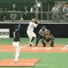 【日ハムファンフェス・ソフトボール対決】伊藤大海のショート守備ｗｗｗｗｗｗ