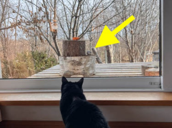 見舞いの「み」