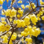 日々是 ヒロッス