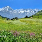 スイスの街角から