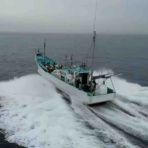 輝栄丸釣果ブログ（釣船釣果）