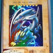 遊戯王OCG】観賞用ブルーアイズ : スターライト速報 -遊戯王OCG情報まとめ-