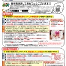 12月議会のご報告 『中野まさひろ 議会だよりNo.27』 発行いたしました ❕
