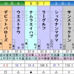 ひたむきに競馬と向き合うブログ