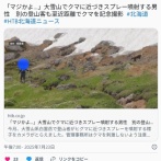 【北海道】「マジかよ…」大雪山でクマに近づきスプレー噴射する男性　別の登山客も至近距離でクマを記念撮影（動画ニュース）