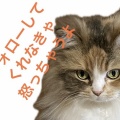 くしゃみと悲鳴