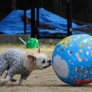 2025→2026　まさおの年越し