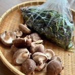 続・ゆるい生活