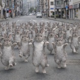 『AI の時代、…ですね。』の画像