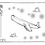 【２８】海外飛行機が目的地に辿り着かん。