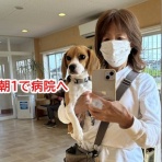 ガオだらけな日々　