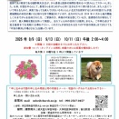 2026年8月9日（日）新座志木がん哲学外来カフェ（＠新座市）