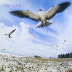 Light Mellow on the web ～ turntable diary ～