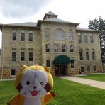 あらいぐまラスカルに会いたい