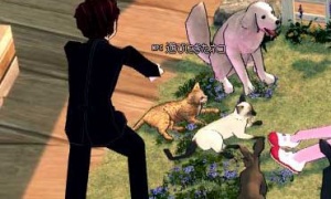 ネコ好きミレシアン、ネコが増えて大喜び