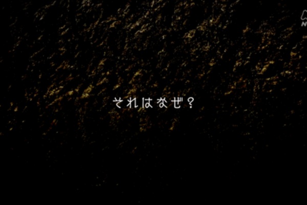 遅くとも 遅いなりに