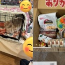 2026年3月8日譲渡会を開催しました！