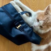 メルちゃん、バッグを持ってお出かけですか？