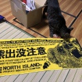 【悲報】秋田の猟師、脱走したヒグマを命懸けで駆除させられたお礼がタオルだったことに悲しみを覚える