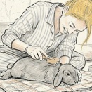 悠々と他人事。