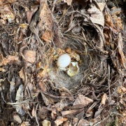 �դ����ɤ��ä�