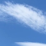 神崎みどり  OFFICIAL  BLOG