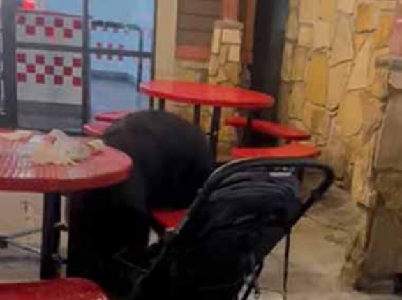 ファストフード店で他人のモノを勝手に食べている奴がいた。誰も注意できない → 居座る野生の迷惑系はこちらです…