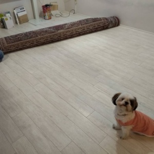 ミニマリストブログおすすめ33選 ハードな極限生活からゆるミニマムまで ていない ていねいじゃない暮らしのブログ Powered By ライブドアブログ